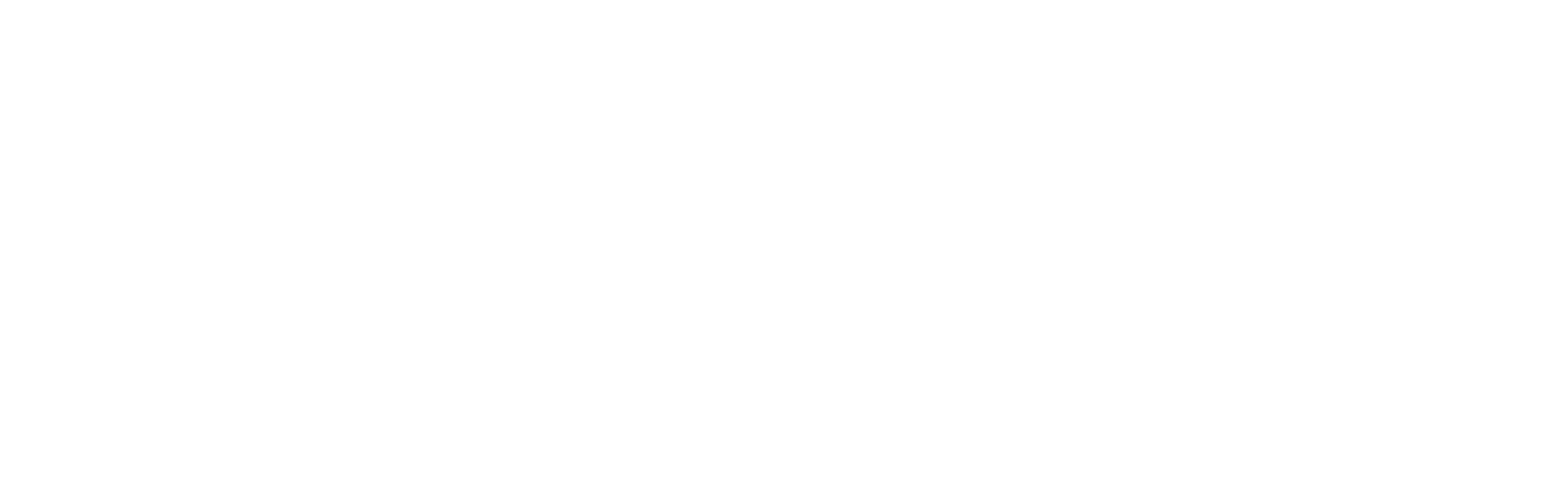 immigrationvisioncanada.org logo footer